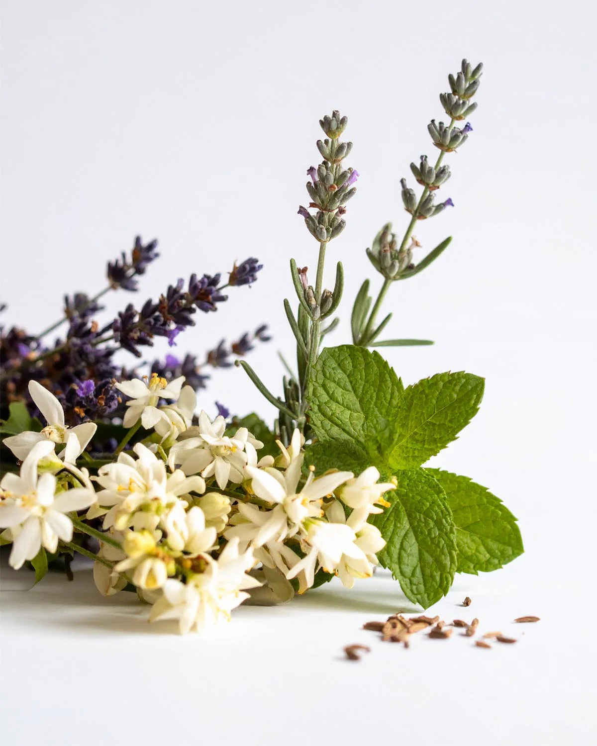 PARFUMS NOX - 167 - Image 2