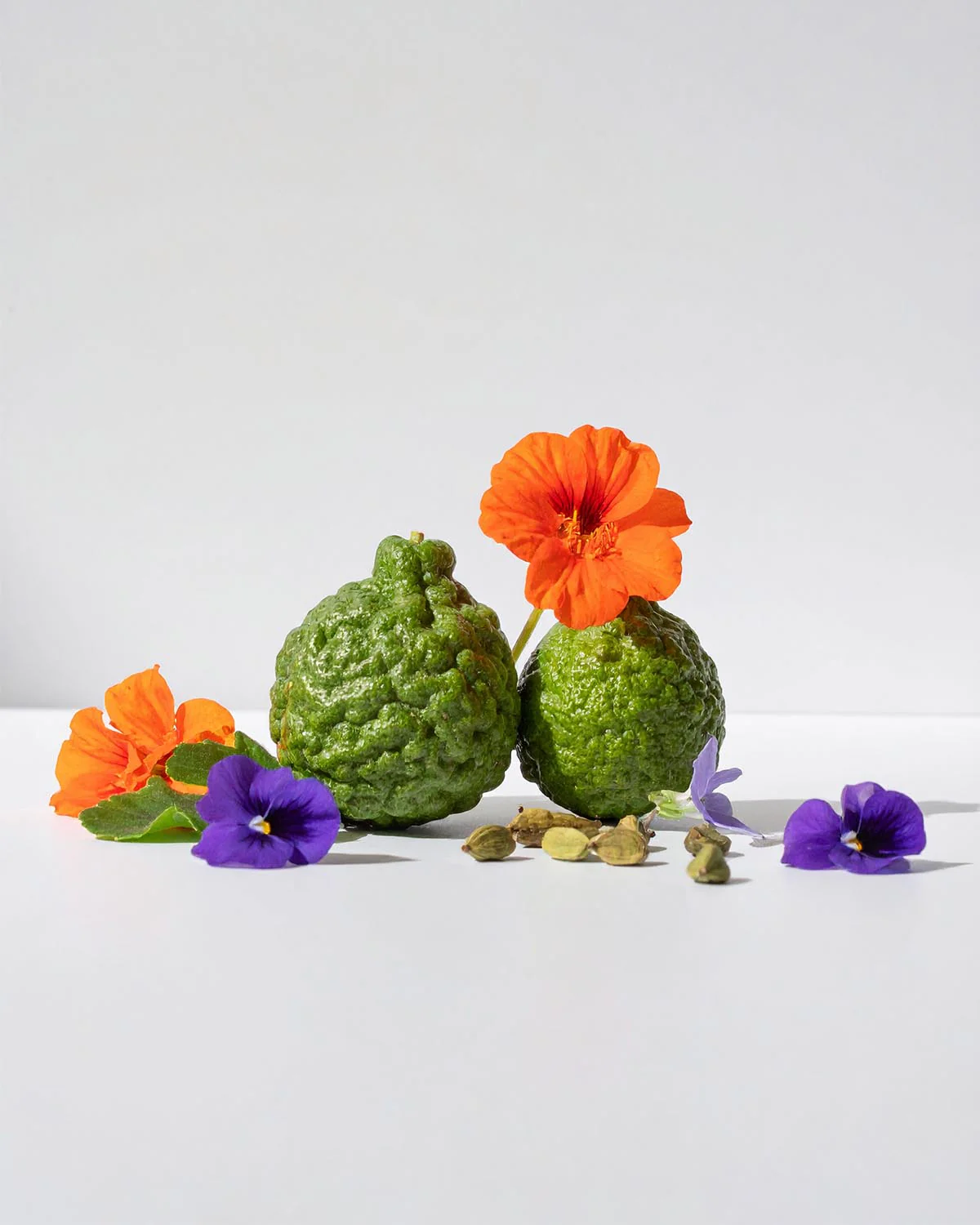 Miniature 2