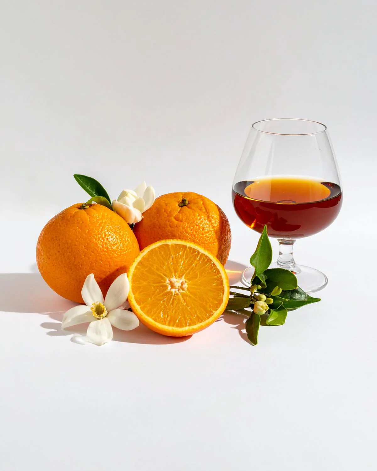 PARFUMS NOX - 2432 - Image 2