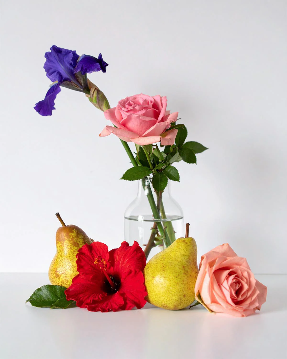 Miniature 2