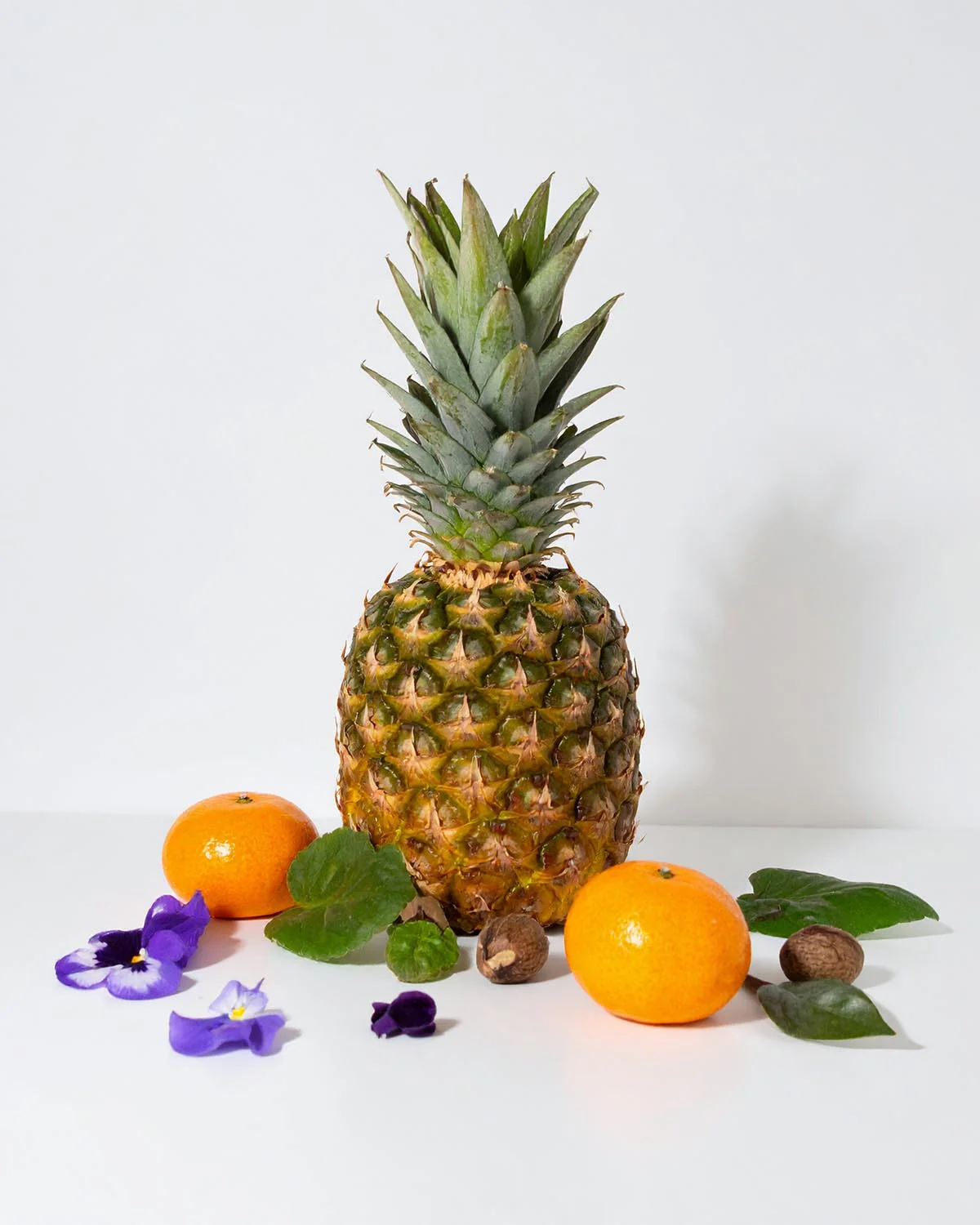 Miniature 2
