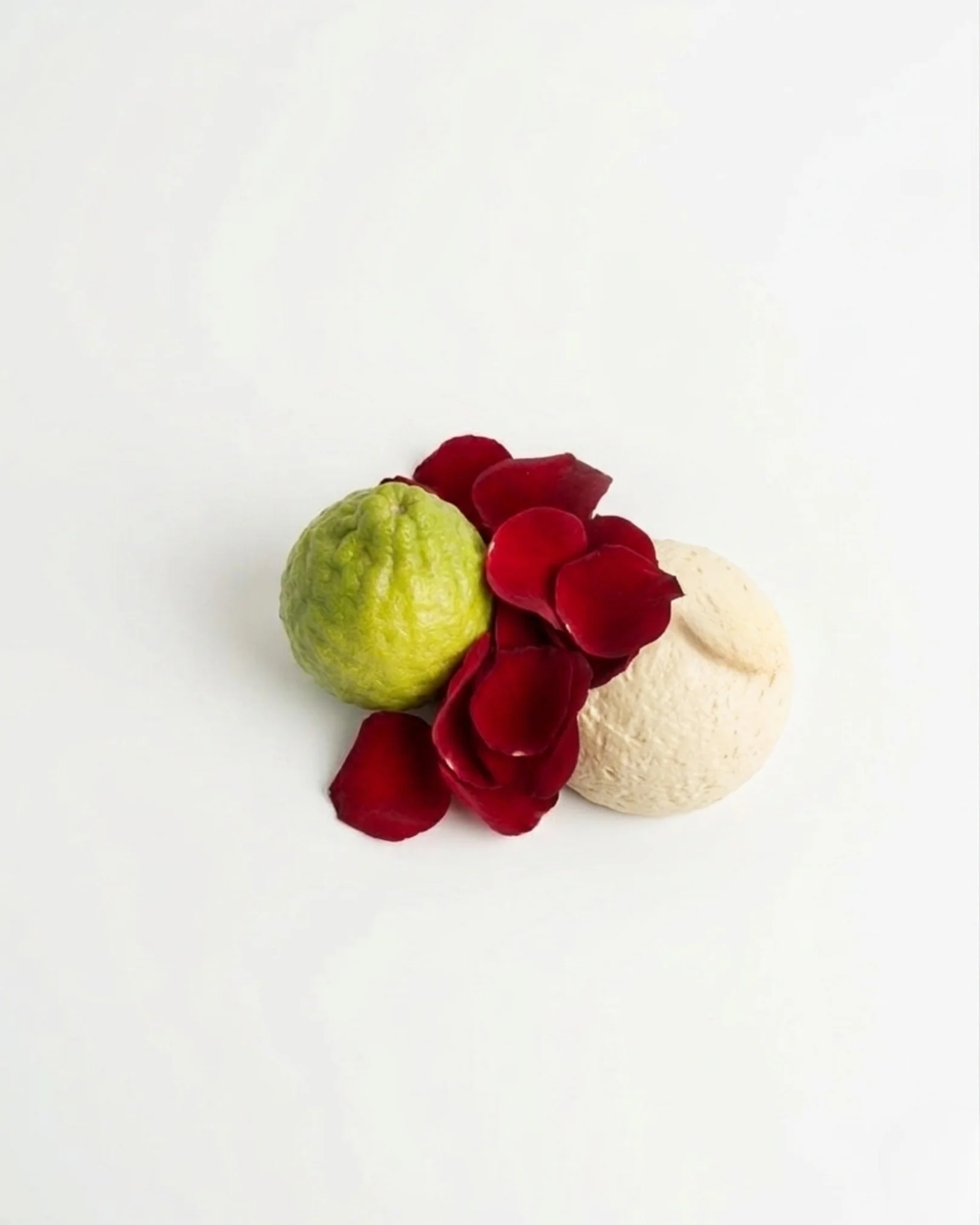 PARFUMS NOX – 030 - Image 2
