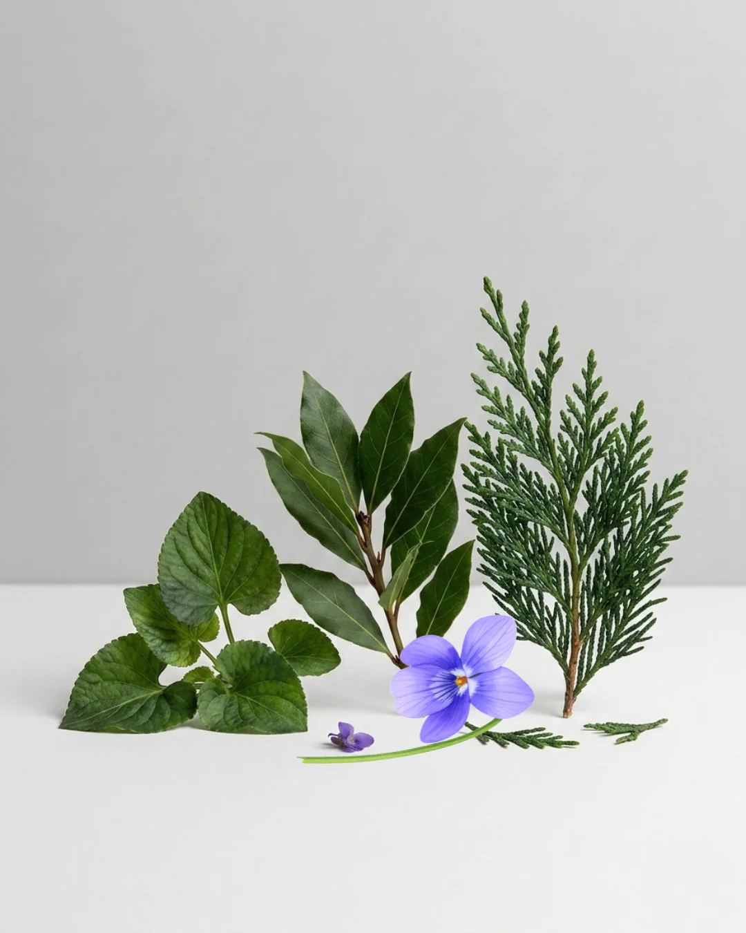 Miniature 2
