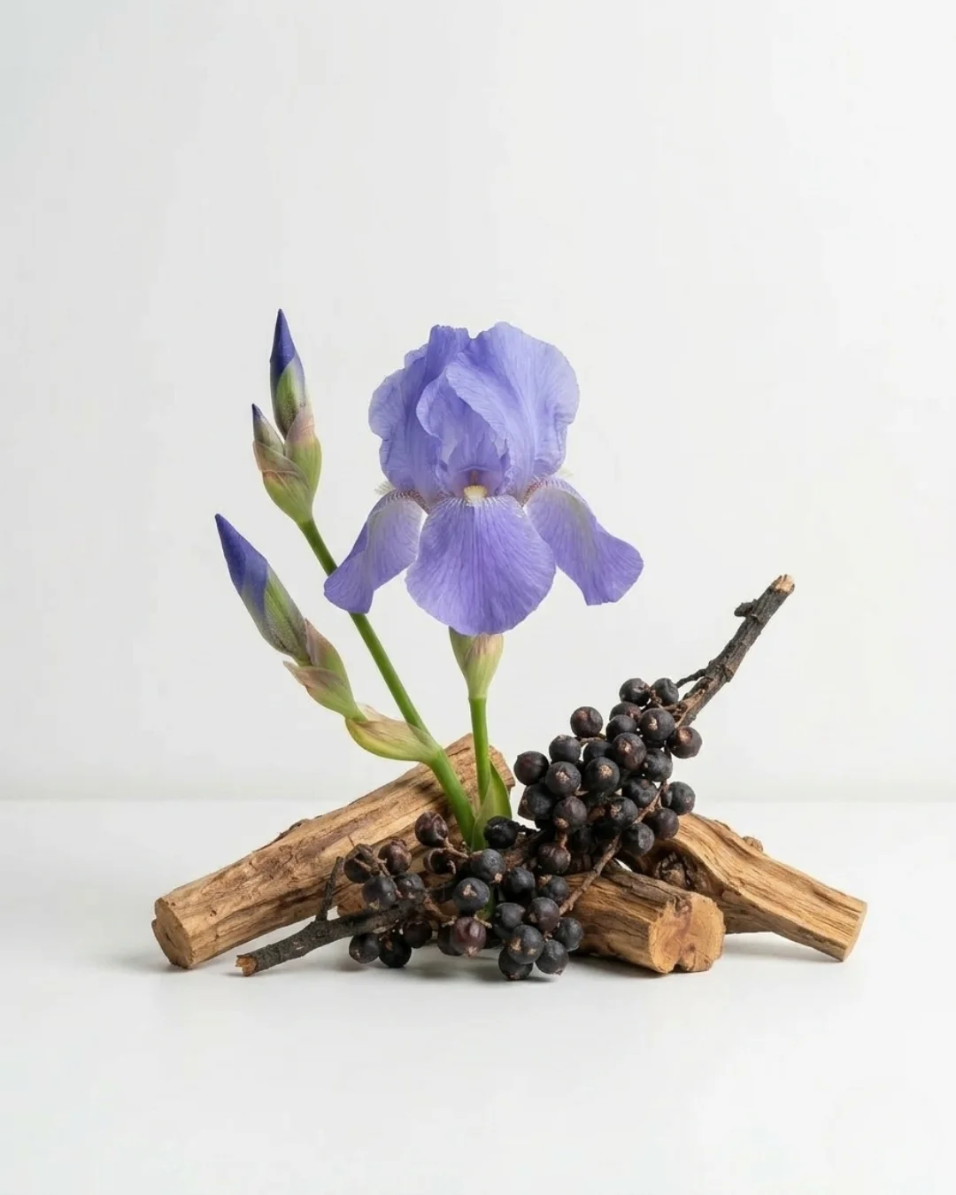 PARFUMS NOX – 178 - Image 2