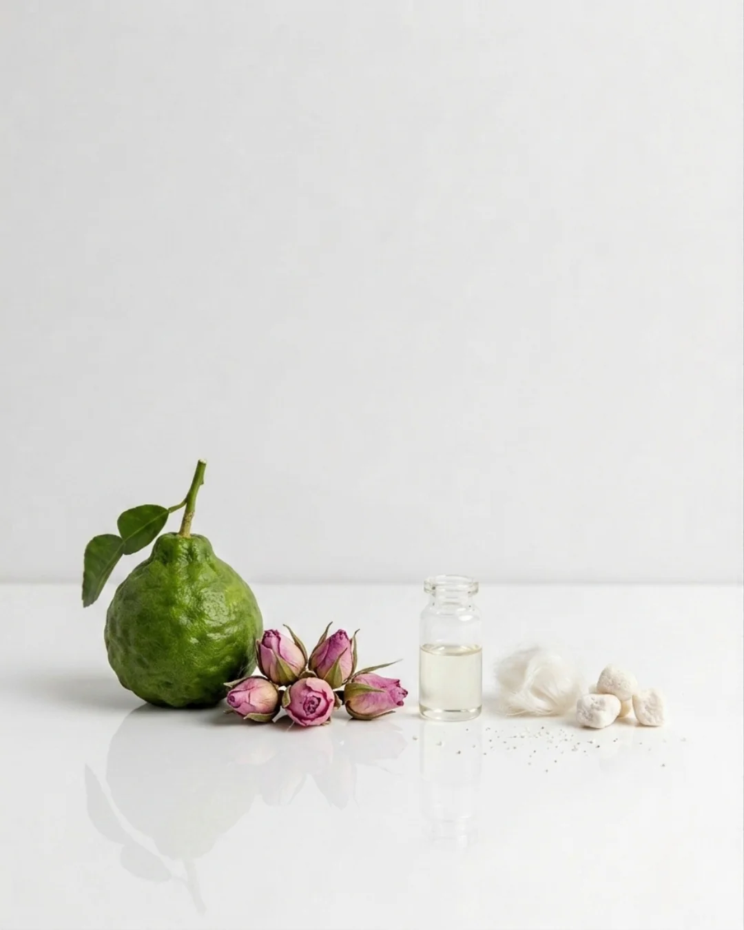 PARFUMS NOX - 2561 - Image 2