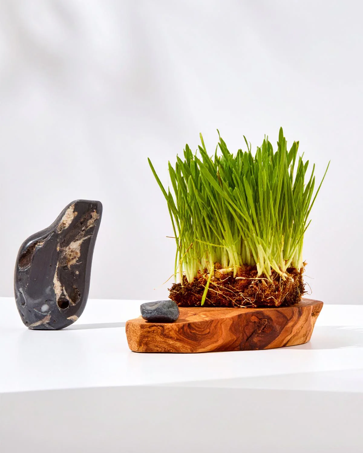 Miniature 2