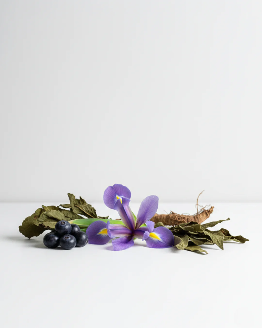 PARFUMS NOX – 413 - Image 2