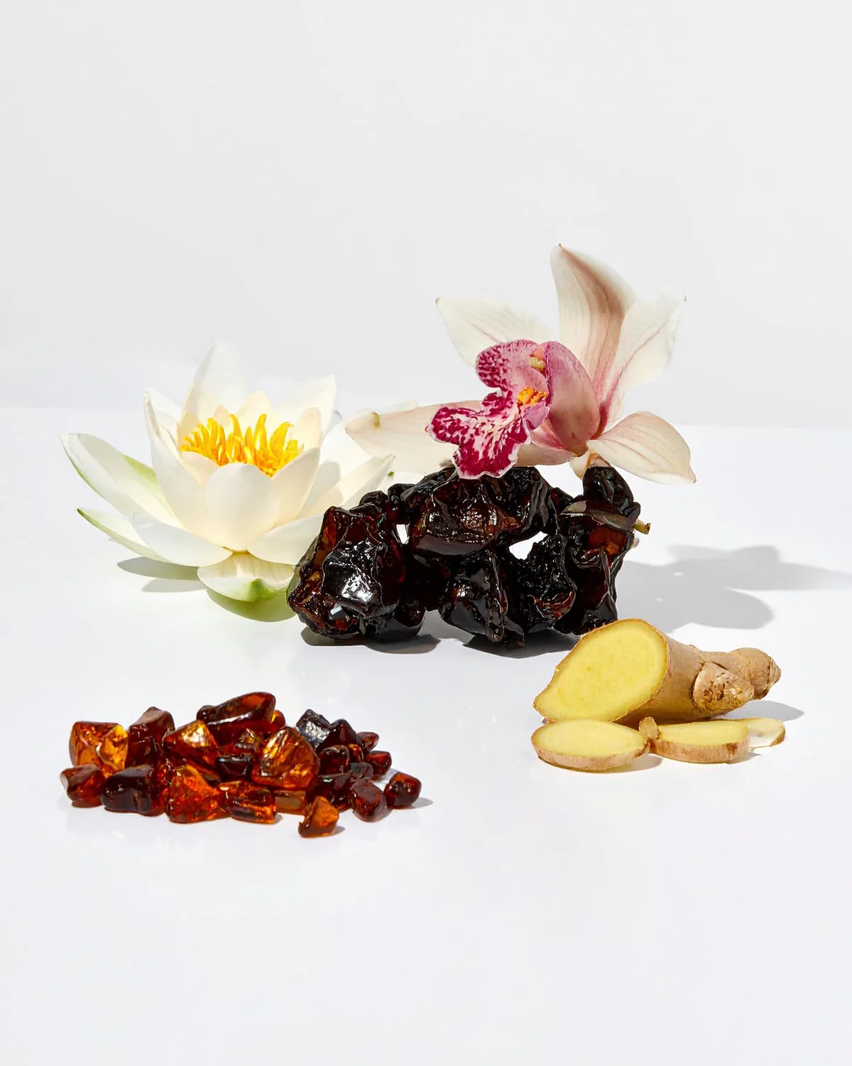 PARFUMS NOX - 809 - Image 2