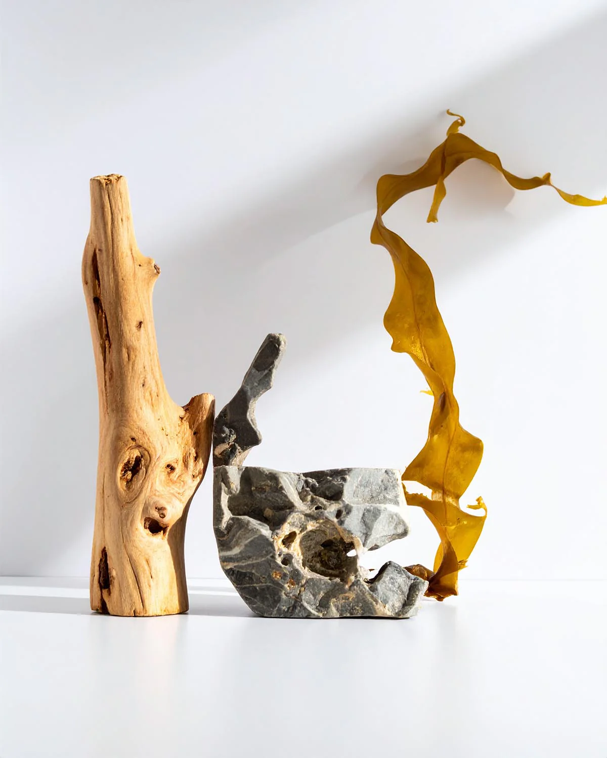 PARFUMS NOX - 926 - Image 2