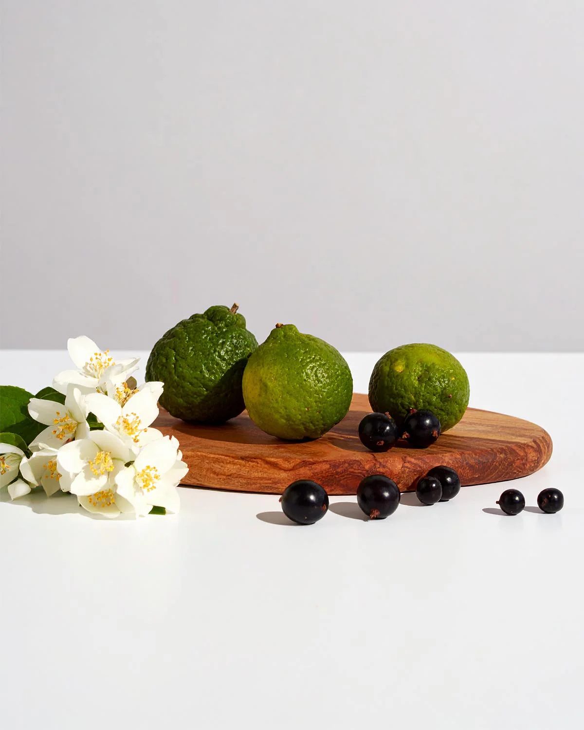 PARFUMS NOX – 2435 - Image 2
