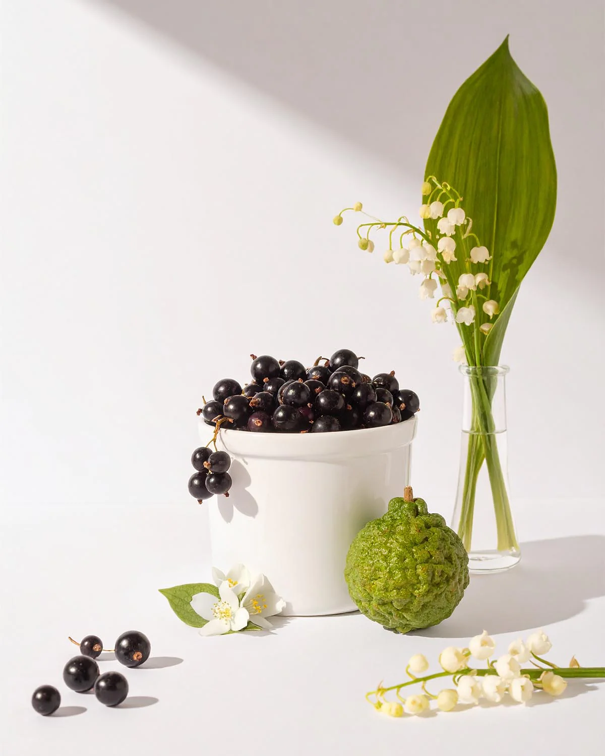 PARFUMS NOX – 415 - Image 2