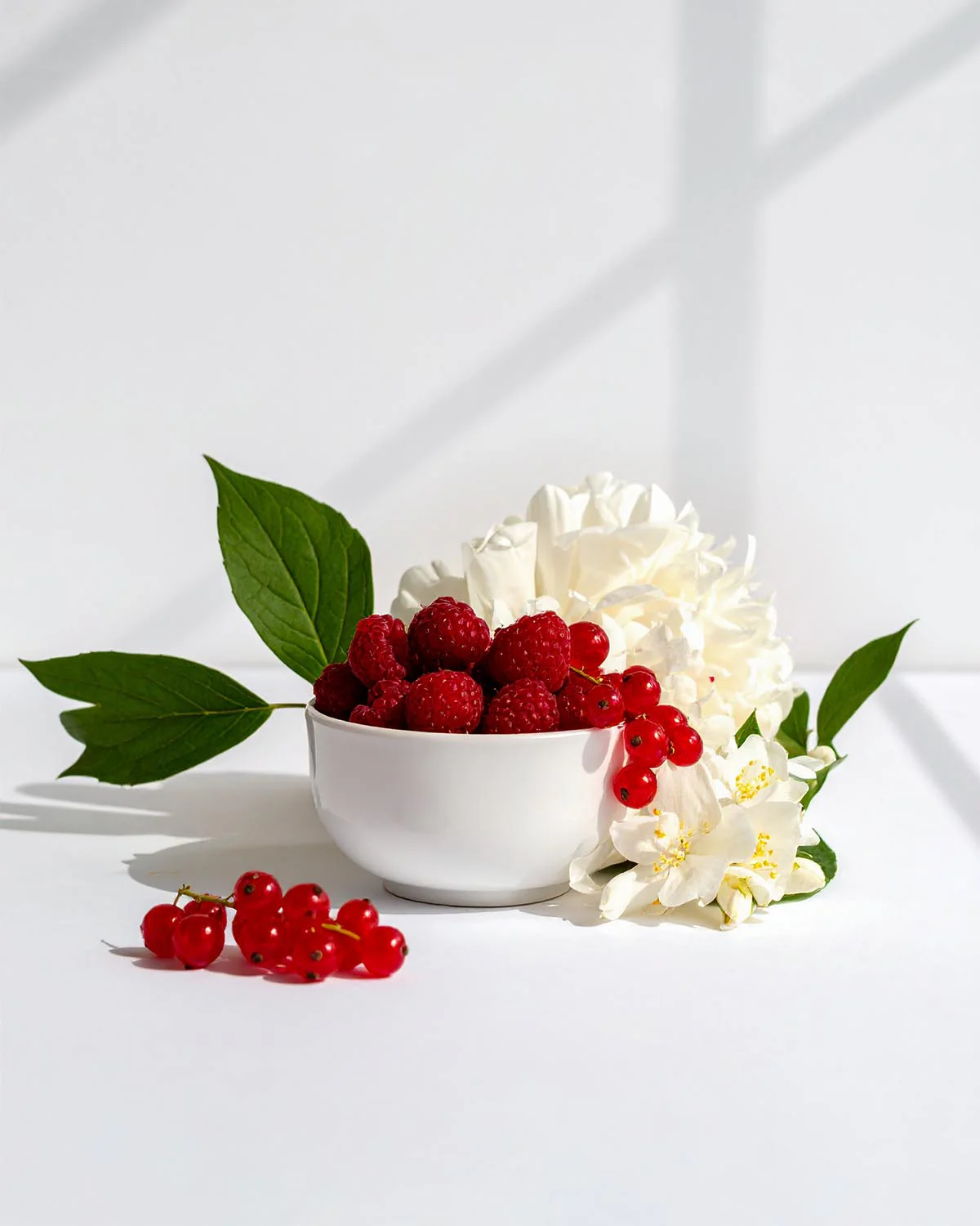 PARFUMS NOX - 487 - Image 2
